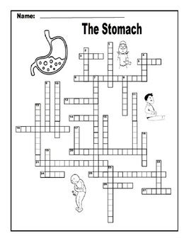 stomach crossword clue